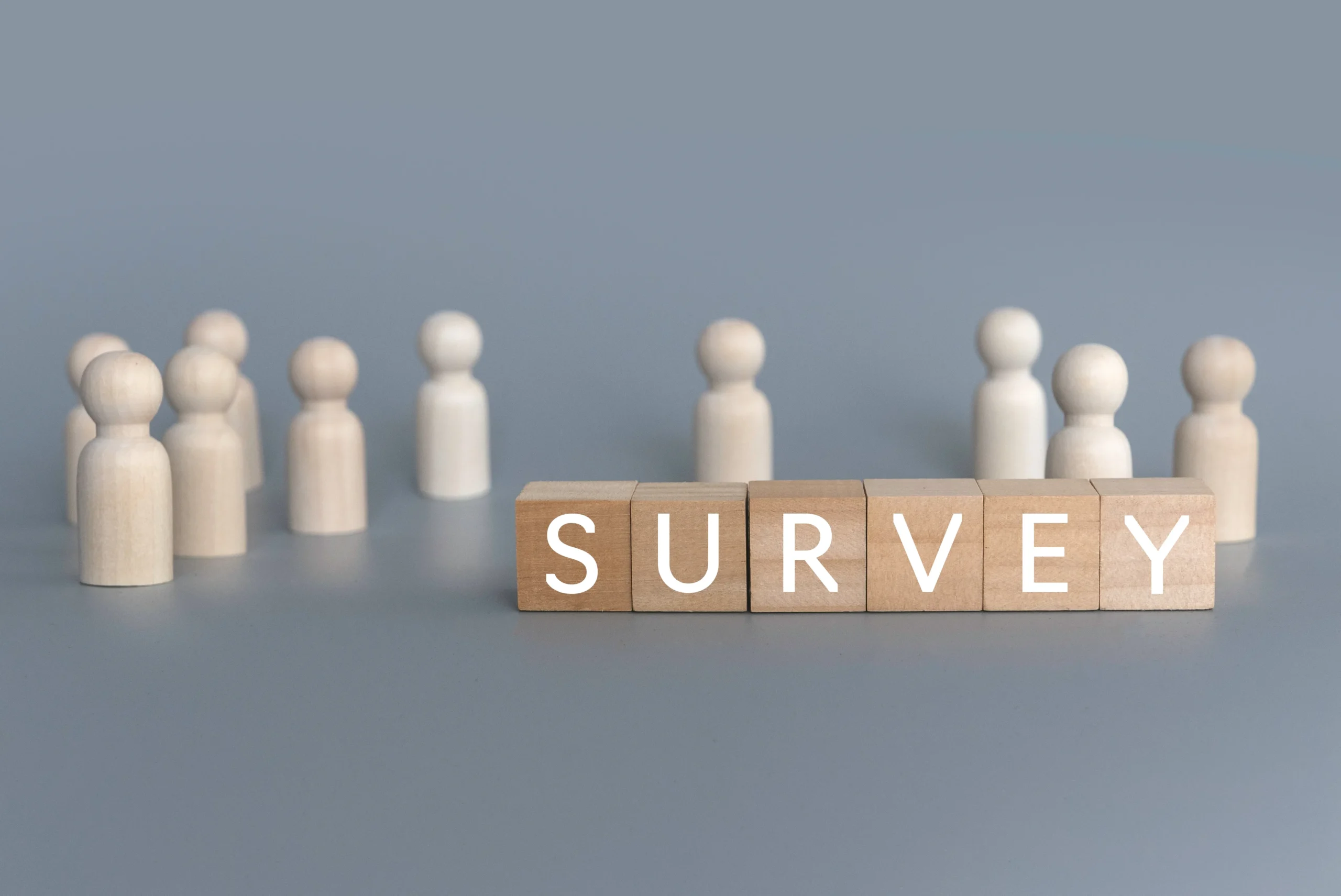 wooden-blocks-spelling-survey-with-figures-in-back-2026-03-17-20-08-08-utc